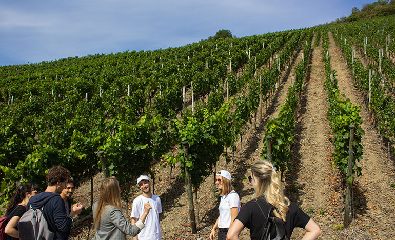 Du betrachtest gerade Einmaliger Junggesell*Innen-Abschied rund um das Thema Wein