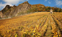 Mittelrhein-Tagesreise