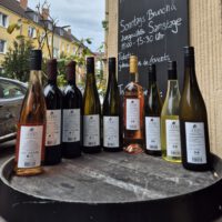 Vino Colonia Bundle 9 verschiedene Flaschen Original Kölnwein