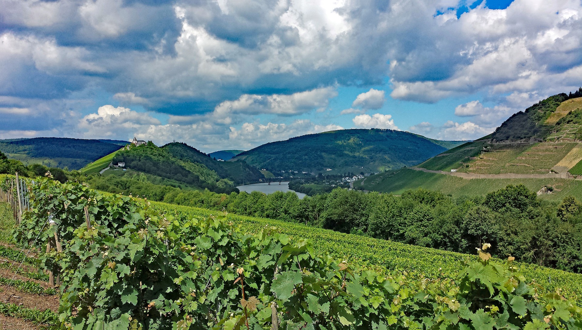 Mehr über den Artikel erfahren Ein genussreicher Tag in Königswinter mit JuBo Wine Tours